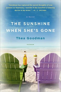 The Sunshine When She's Gone: A Novel