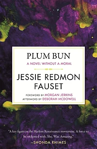 Plum Bun: a Novel Without Moral