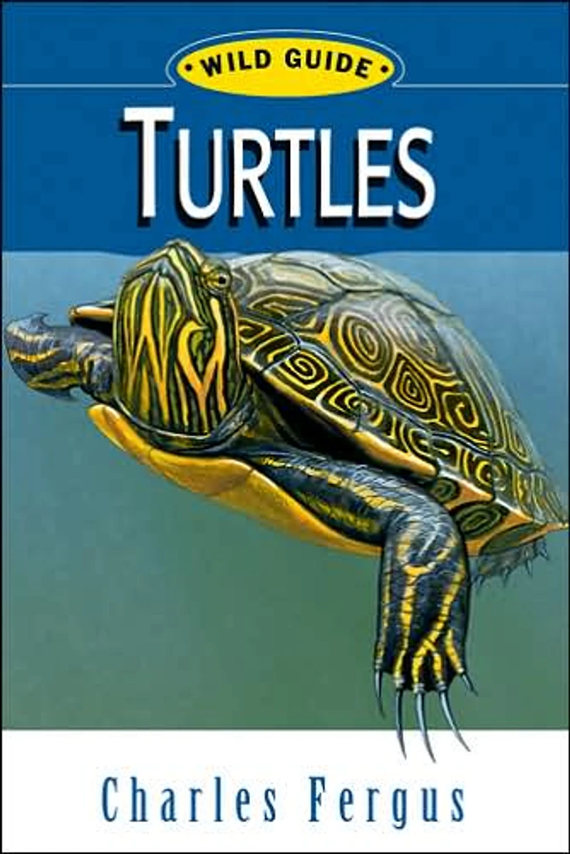 Turtles: Wild Guide