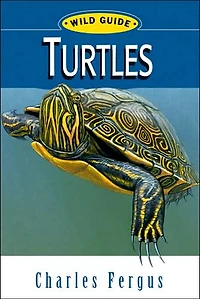 Turtles: Wild Guide