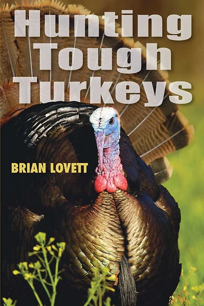 Hunting Tough Turkeys