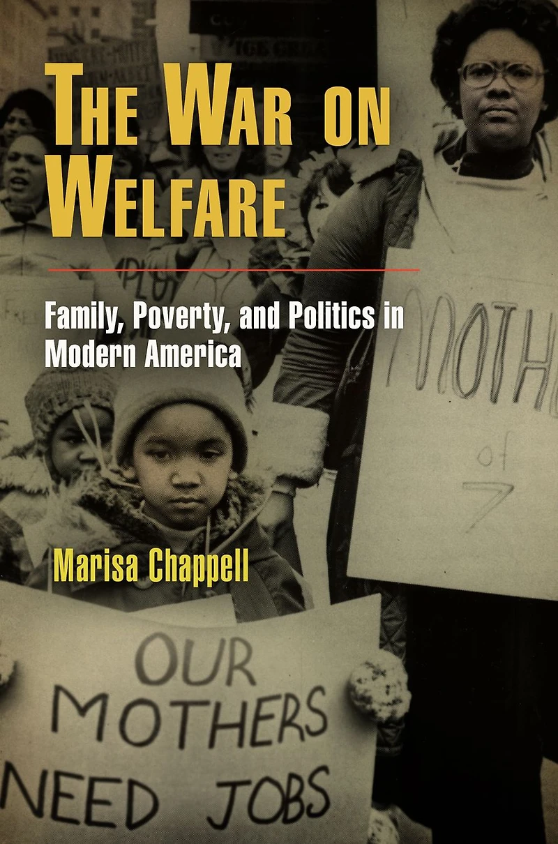 The War on Welfare: Family, Poverty, and Politics Modern America