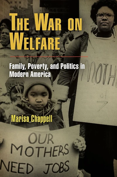 The War on Welfare: Family, Poverty, and Politics Modern America