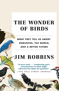 the Wonder of Birds: What They Tell Us About Ourselves, World, and a Better Future