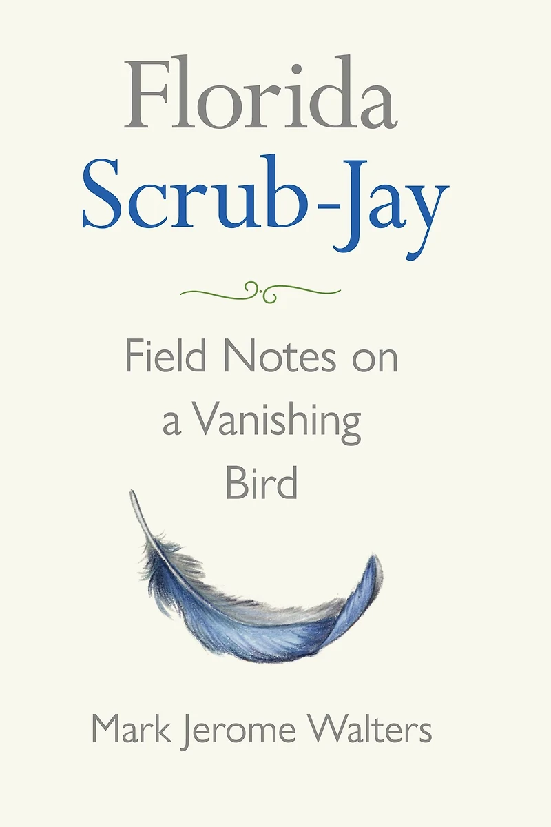 Florida Scrub-Jay: Field Notes on a Vanishing Bird