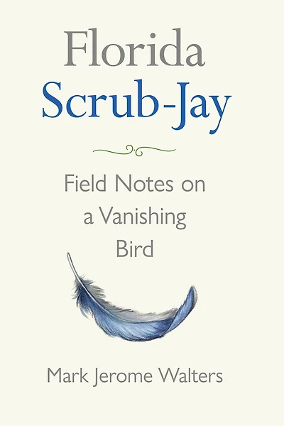 Florida Scrub-Jay: Field Notes on a Vanishing Bird