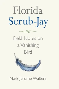 Florida Scrub-Jay: Field Notes on a Vanishing Bird