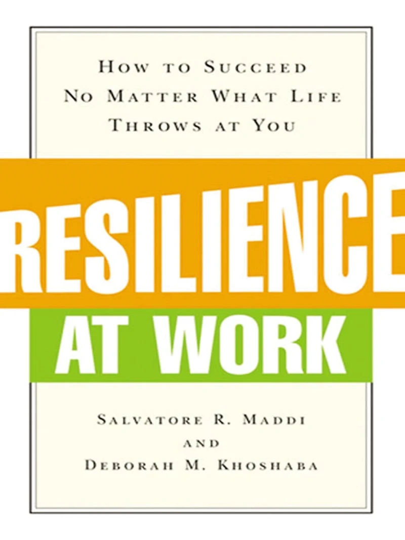 Resilience at Work: How to Succeed No Matter What Life Throws You