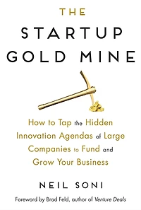 the Startup Gold Mine: How to Tap Hidden Innovation Agendas of Large Companies Fund and Grow Your Business
