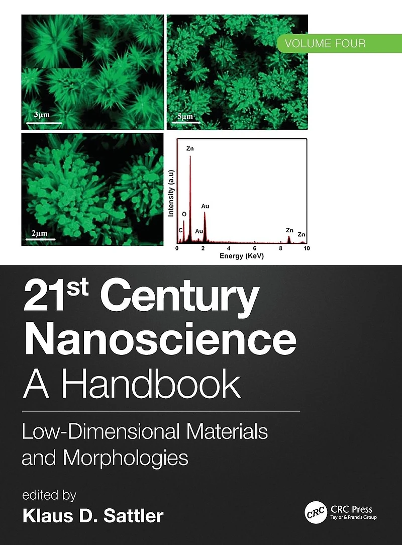 21st Century Nanoscience - A Handbook: Low-Dimensional Materials and Morphologies (Volume Four)