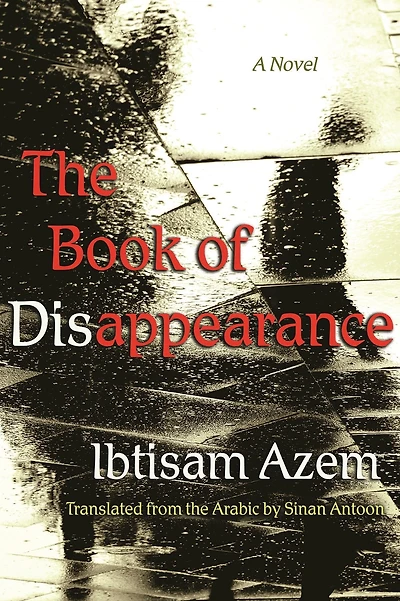 The Book of Disappearance: A Novel