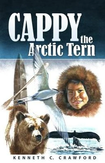 Cappy, the Arctic Tern