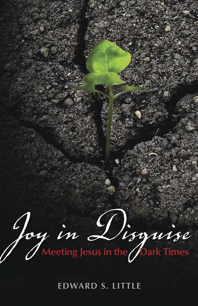 Joy Disguise: Meeting Jesus the Dark Times