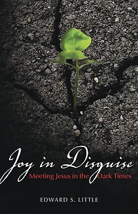 Joy Disguise: Meeting Jesus the Dark Times