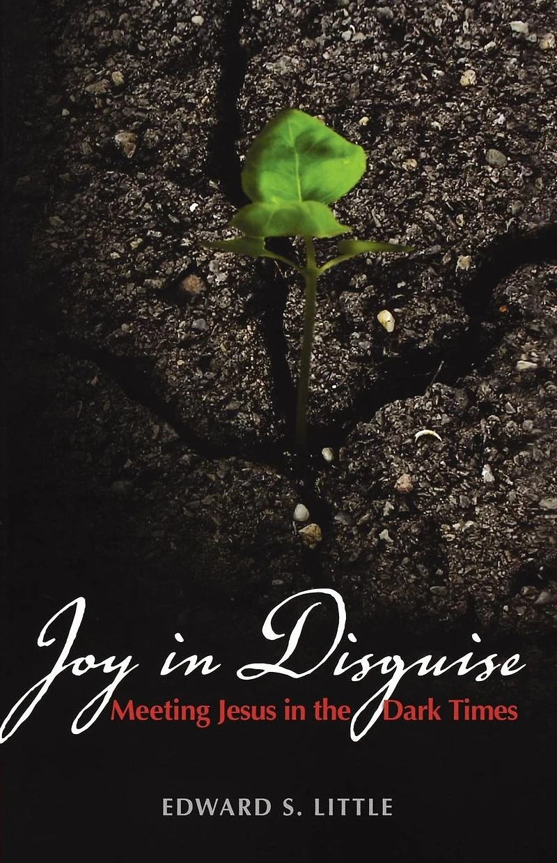 Joy Disguise: Meeting Jesus the Dark Times
