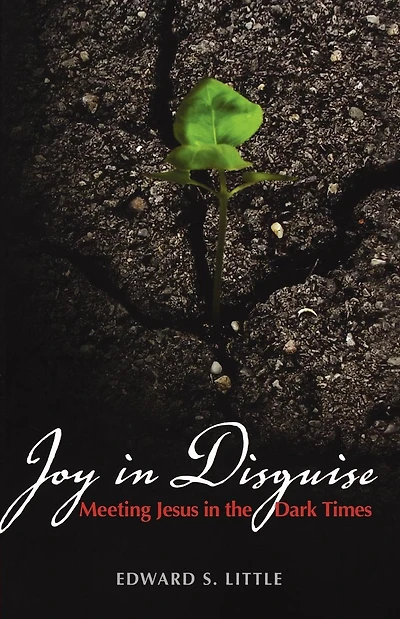 Joy Disguise: Meeting Jesus the Dark Times