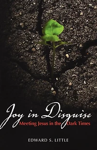 Joy Disguise: Meeting Jesus the Dark Times