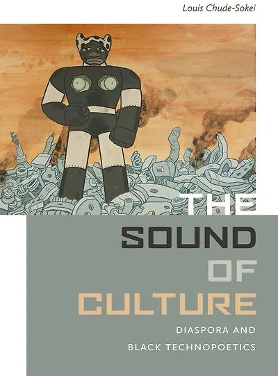 The Sound of Culture: Diaspora and Black Technopoetics