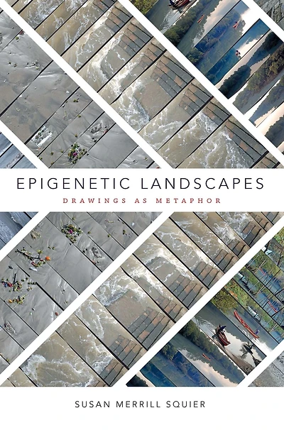 Epigenetic Landscapes: Drawings as Metaphor