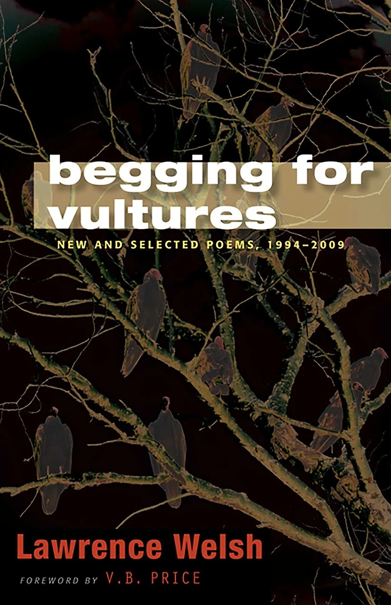 Begging for Vultures: New and Selected Poems, 1994-2009