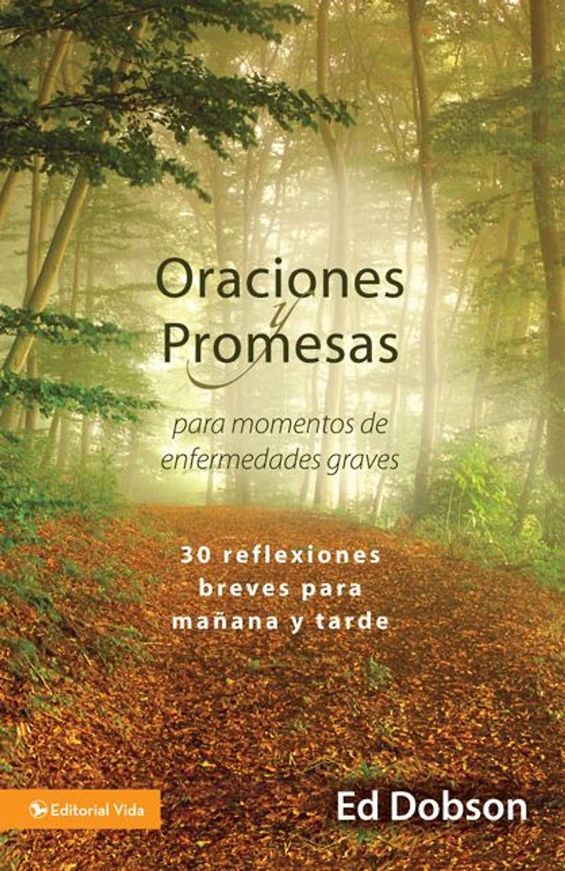 Oraciones y promesas: 30 reflexiones breves para mañana tarde