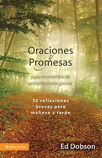 Oraciones y promesas: 30 reflexiones breves para mañana tarde