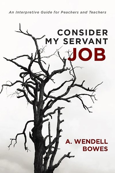 Consider My Servant Job: An Interpretive Guide for Preachers and Teachers