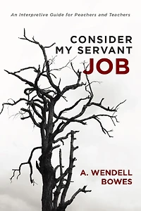 Consider My Servant Job: An Interpretive Guide for Preachers and Teachers