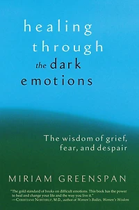 Healing Through The Dark Emotions: Wisdom of Grief, Fear, and Despair