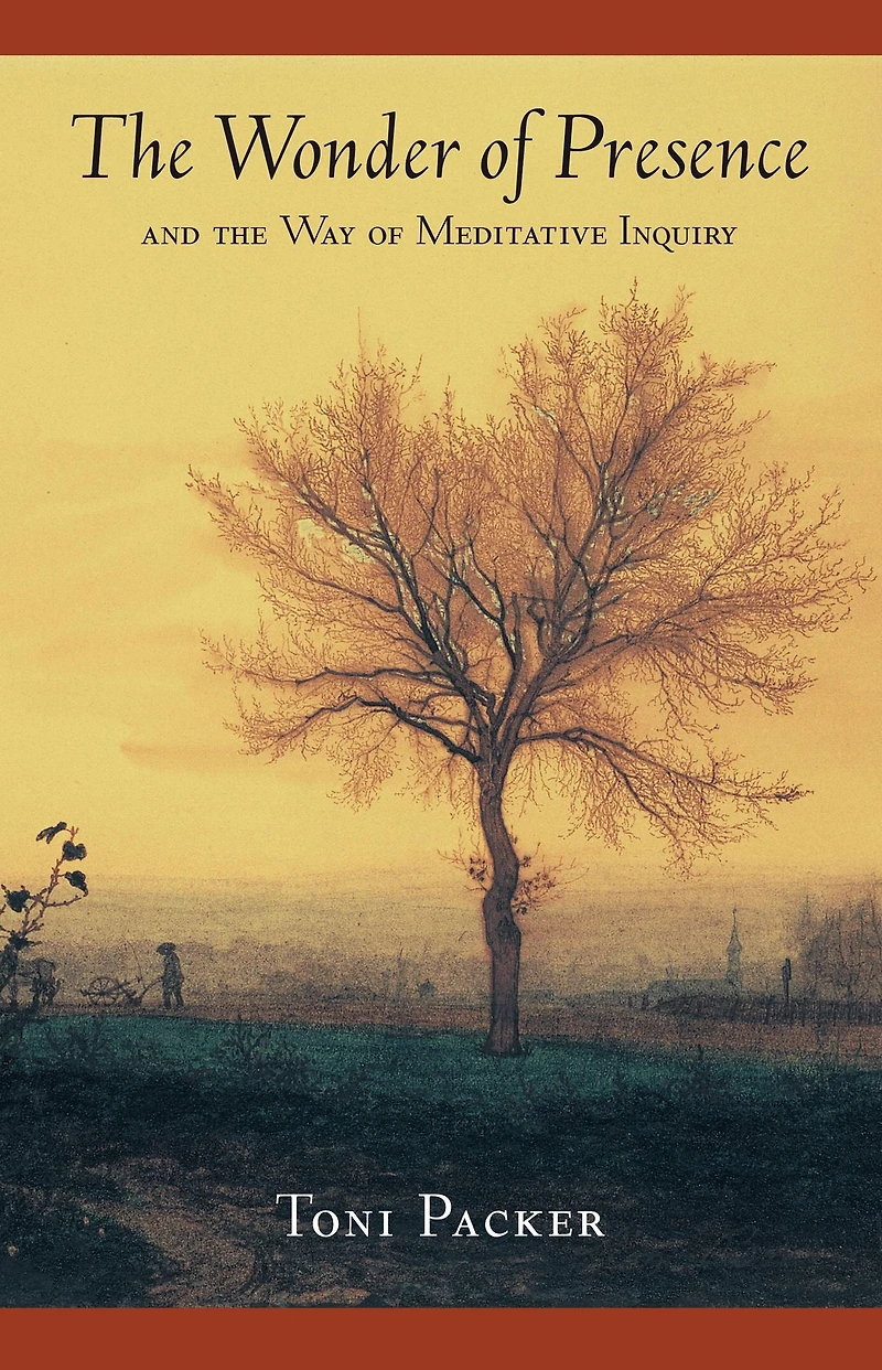 the Wonder of Presence: And Way Meditative Inquiry