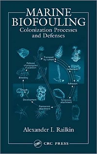 Marine Biofouling: Colonization Processes and Defenses