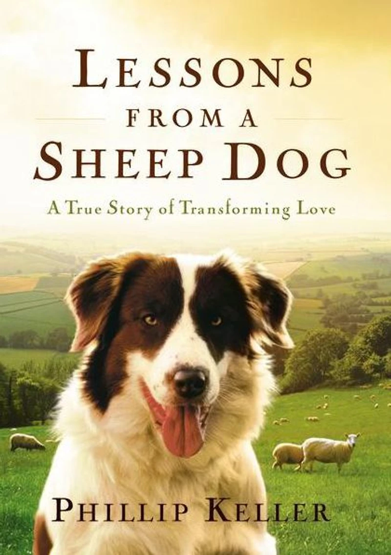 Lessons from A Sheep Dog: True Story of Transforming Love