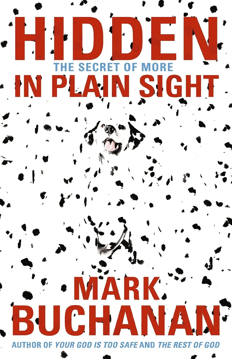 Hidden Plain Sight: The Secret of More