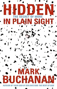 Hidden Plain Sight: The Secret of More