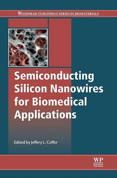 Semiconducting Silicon Nanowires for Biomedical Applications