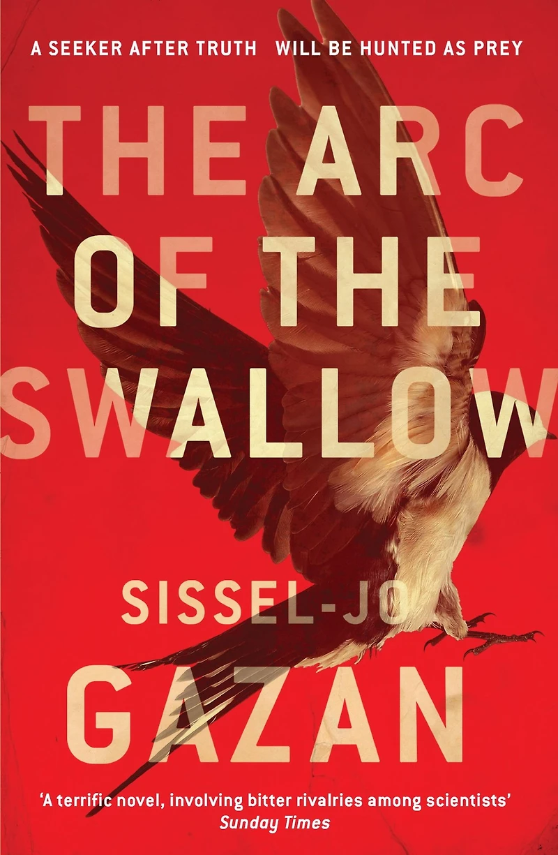 the Arc of Swallow