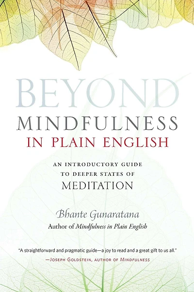 Beyond Mindfulness Plain English: An Introductory guide to Deeper States of Meditation