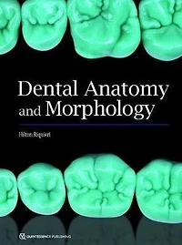 Dental Anatomy and Morphology
