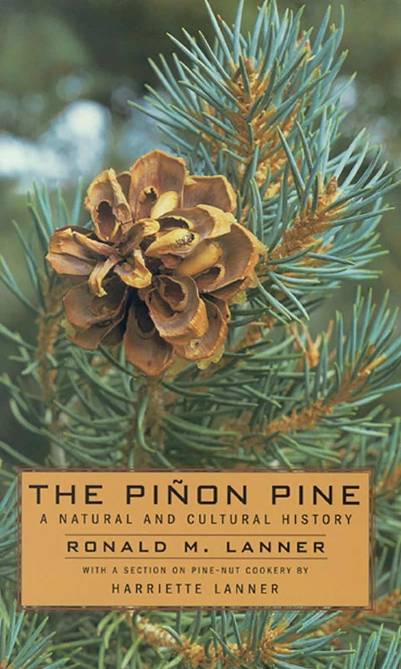The Pinon Pine: A Natural And Cultural History
