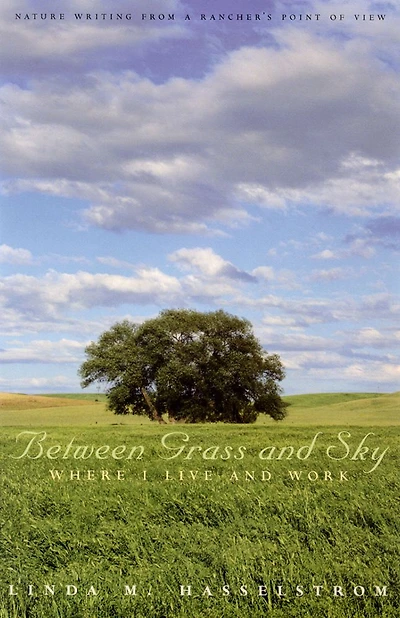 Between Grass And Sky: Where I Live And Work