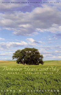 Between Grass And Sky: Where I Live And Work