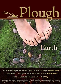 Plough Quarterly No. 4: Earth