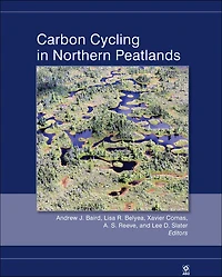 Carbon Cycling Northern Peatlands