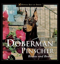 The Doberman Pinscher: Brains and Beauty