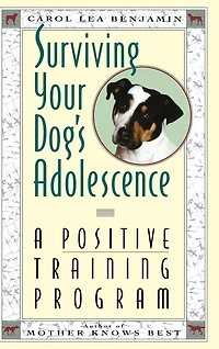 Surviving Your Dog's Adolescence: A Positive Training Program