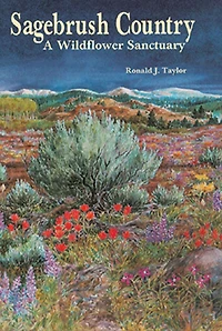 Sagebrush Country: A Wildflower Sanctuary