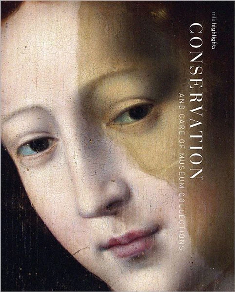 Conservation: MFA Highlights