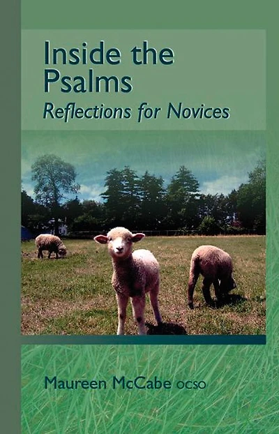 Inside the Psalms: Reflections for Novices Volume 3