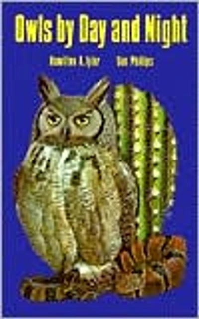 Owls By Day and Night