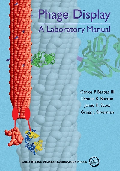Phage Display: A Laboratory Manual